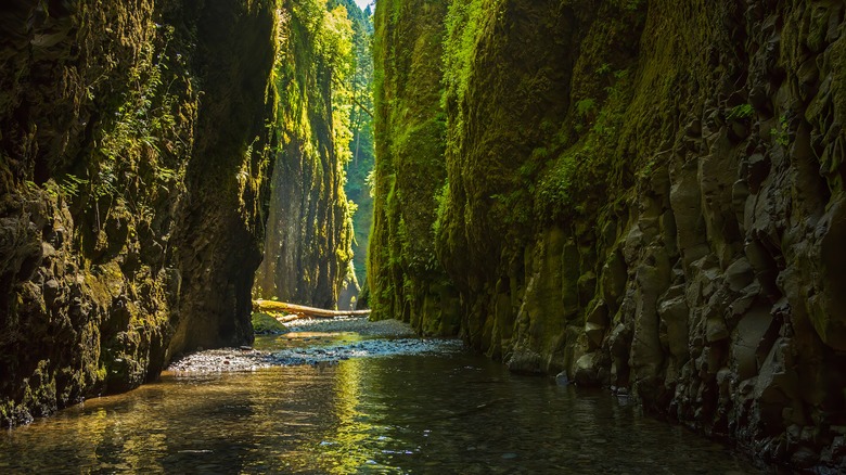 Columbia River Gorge