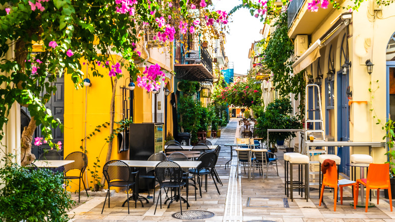 Flowers hanging in Nafplio ally 