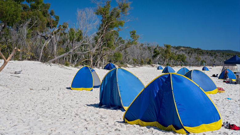 blue tents on white sand beach