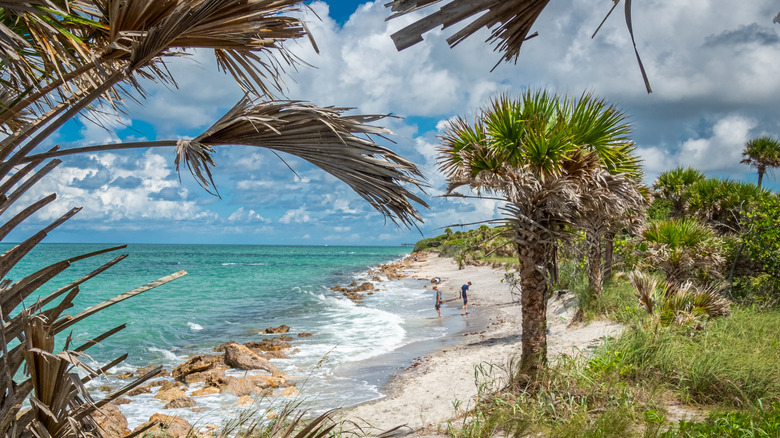 Caspersen Beach on sunny day