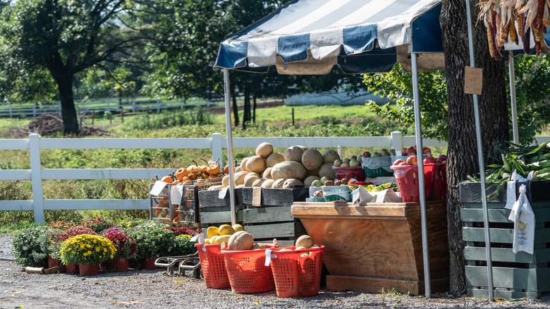 Amish roadside farm stand