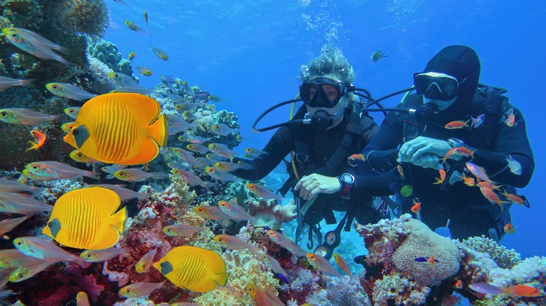 Two people scuba diving 