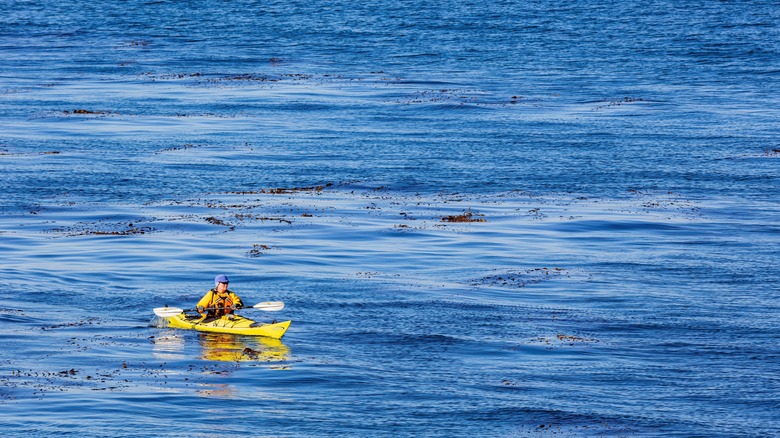 Man kayaking at sea