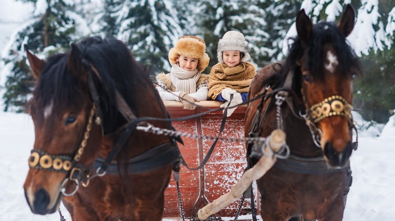 two girls on sleigh ride