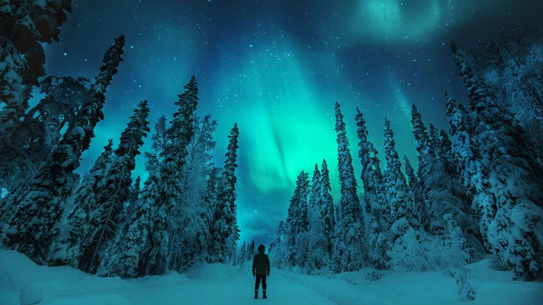 Finland Aurora Borealis Lapland