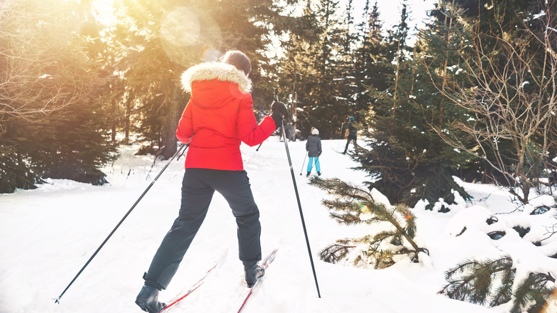 Family cross-country skiing