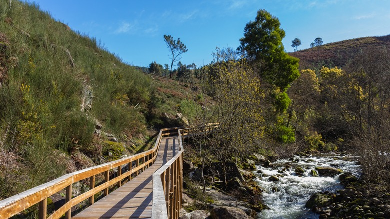 walkway river rapids