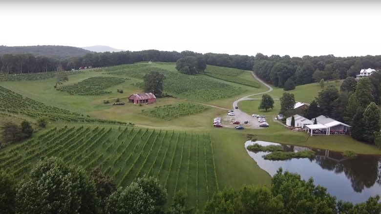 aerial view Three Sisters Vineyards 