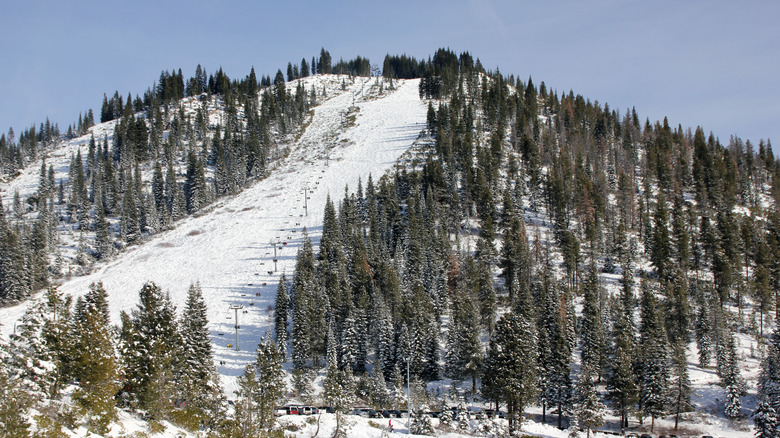 Mount Shasta Ski Park
