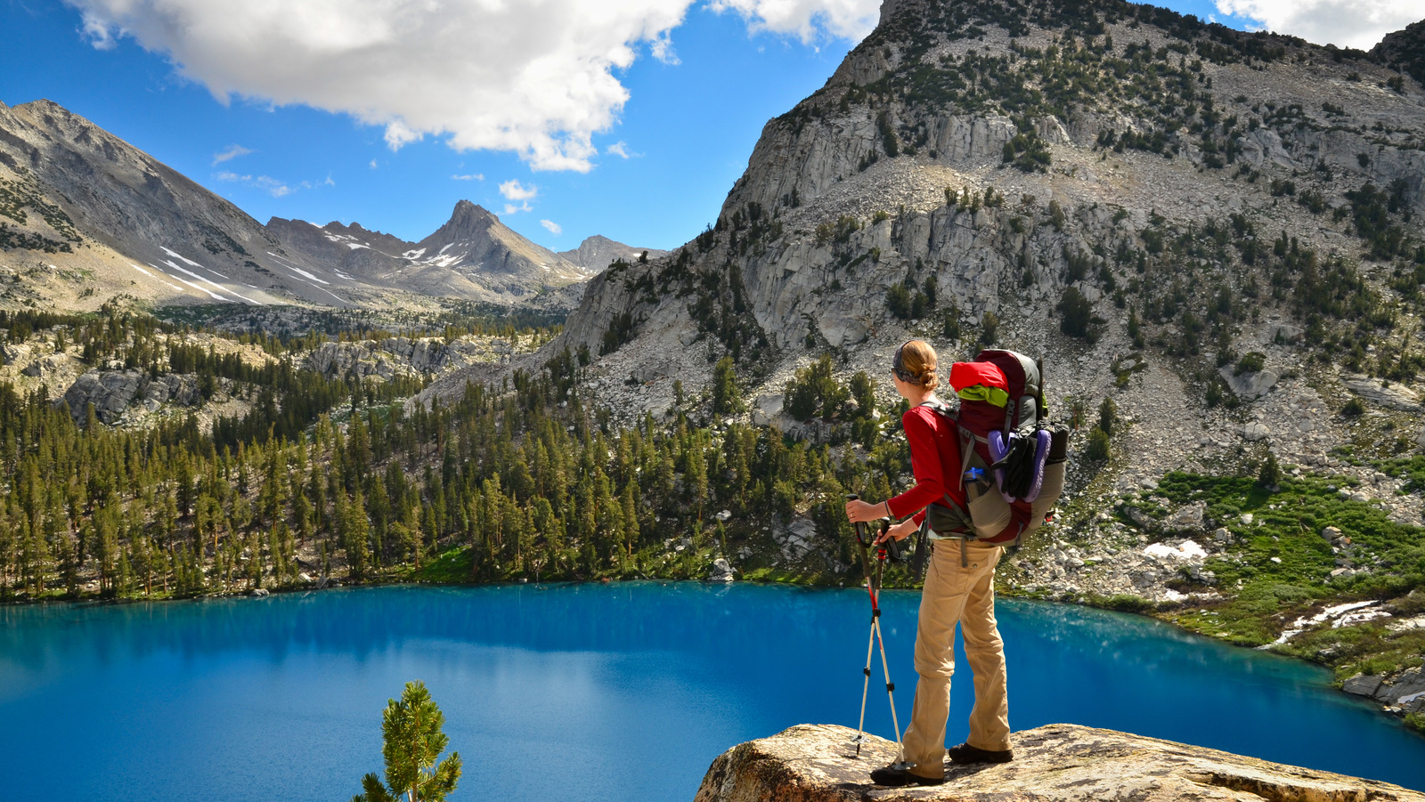 Visit This US National Park To Experience Some Of The Largest Trees In ...