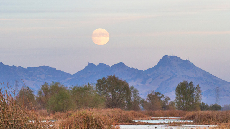 Moonrise over the Sutter Buttes