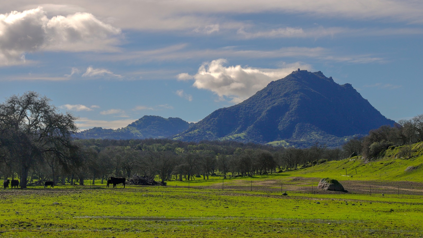 Visit This West Coast State To Explore The World's Smallest Mountain Range