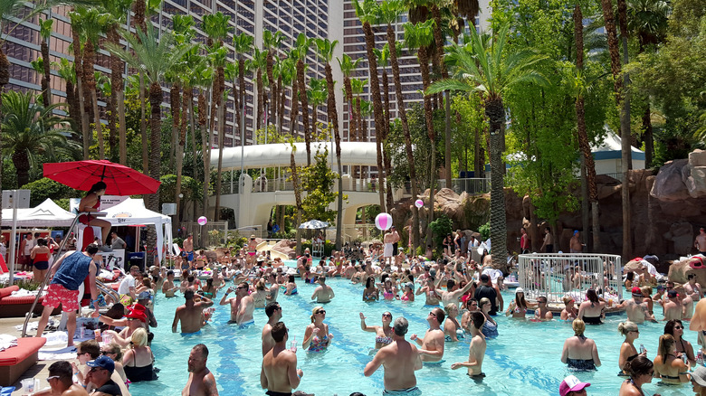 pool party las vegas