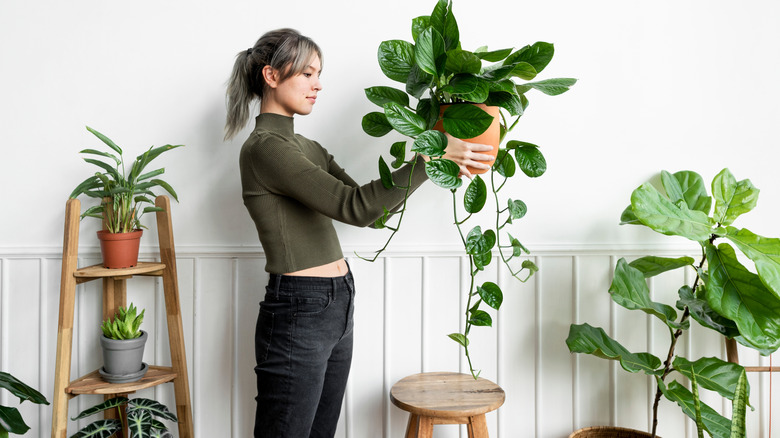 Woman holding up potted plant