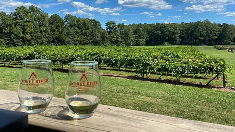 Enoree River Vineyards and Winery in Newberry, South Carolina