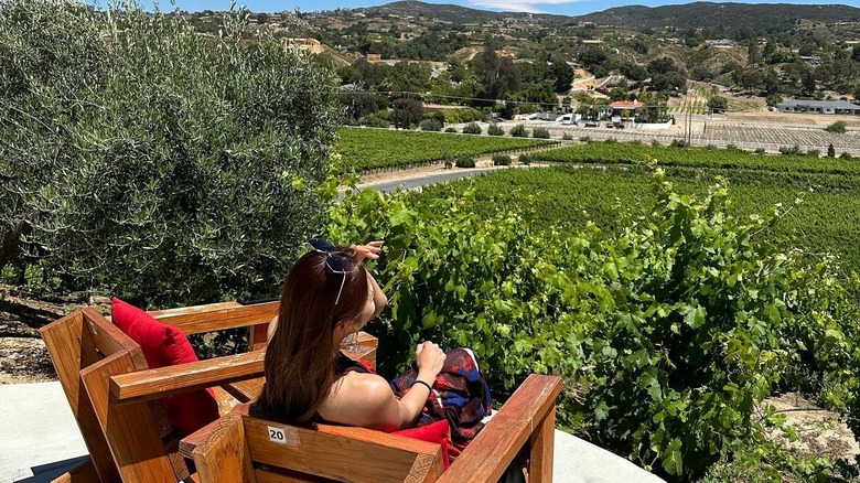Lorimar Vineyards and Winery in Temecula, California