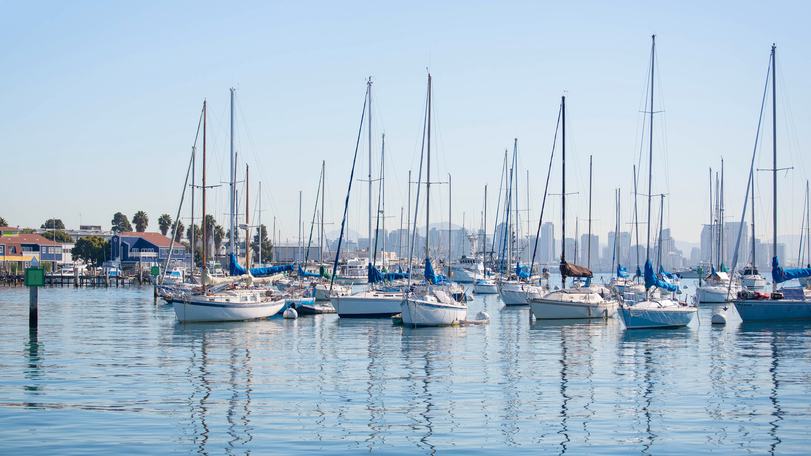 sailboat tour san diego