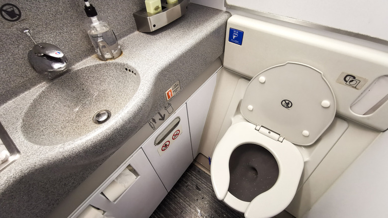 The inside of an airplane bathroom.