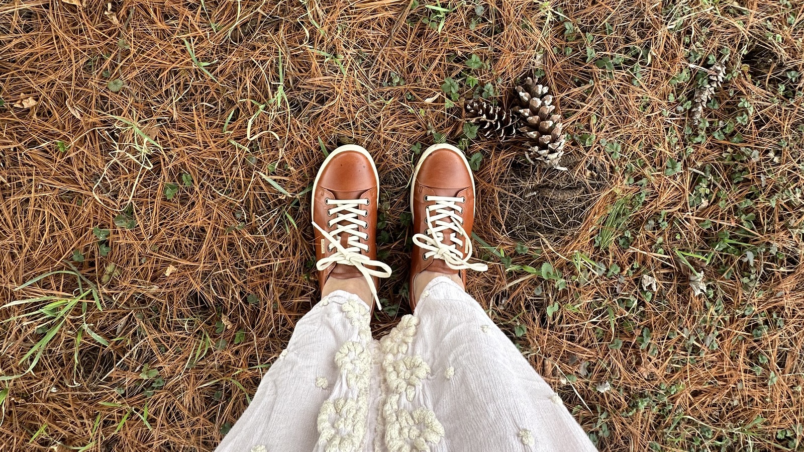 rick steves best travel shoes