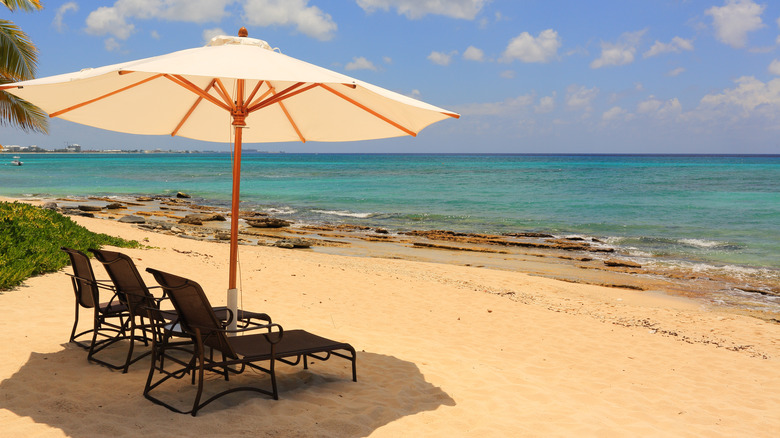 chairs on sunny beach