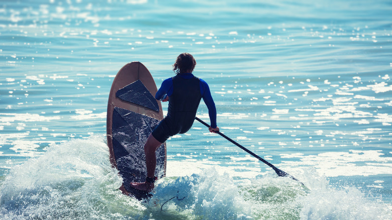 Surfer paddleboarding at Blacks Beach