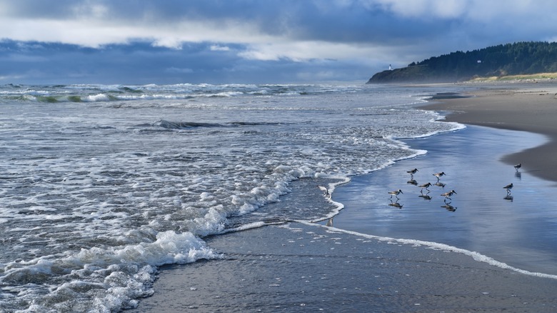 Waves at Long Beach