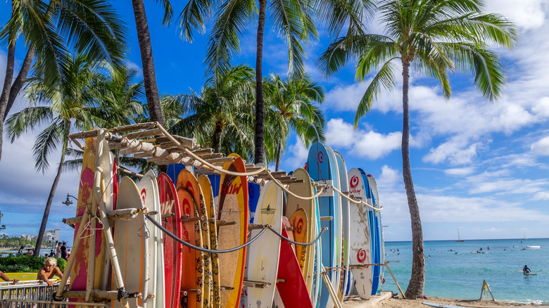 Surfboards at Waikiki Beach