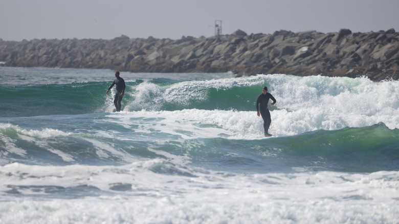 Surfers at The Jetty