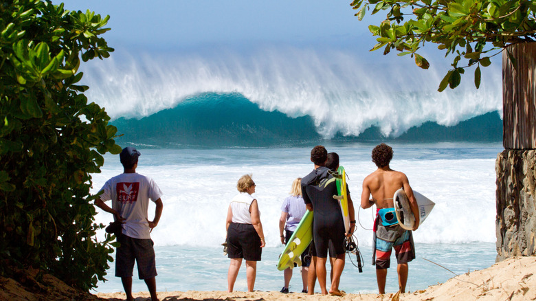 Beachgoers and surfers watch enormous waves crash at the North Shore