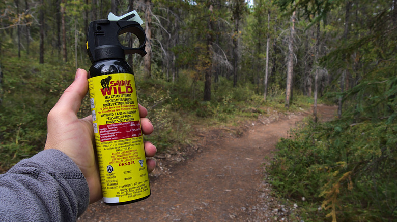 Hiker holding bear spray