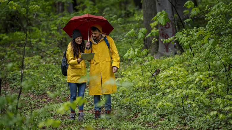 Couple in the rain