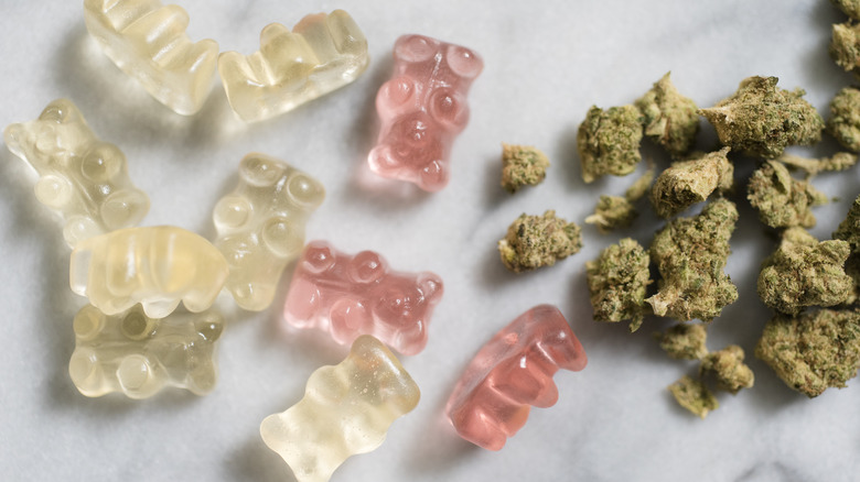 Marijuana buds and gummies on countertop