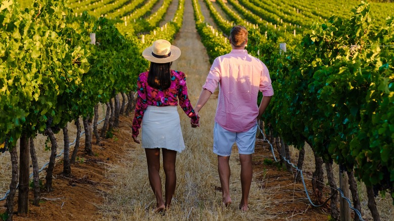 Couple in vineyard