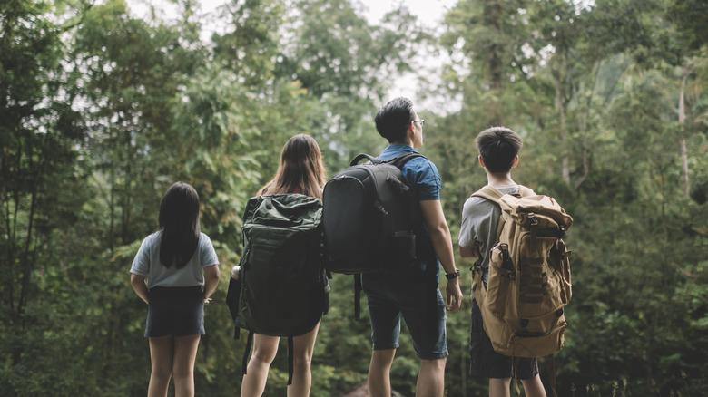 Family standing in a tropical rainforest