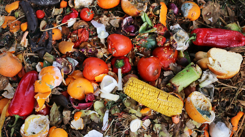 food waste in landfill