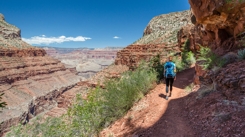 Grand Canyon solo hiker trail