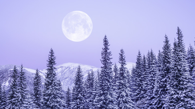 Moon with snowy mountains 