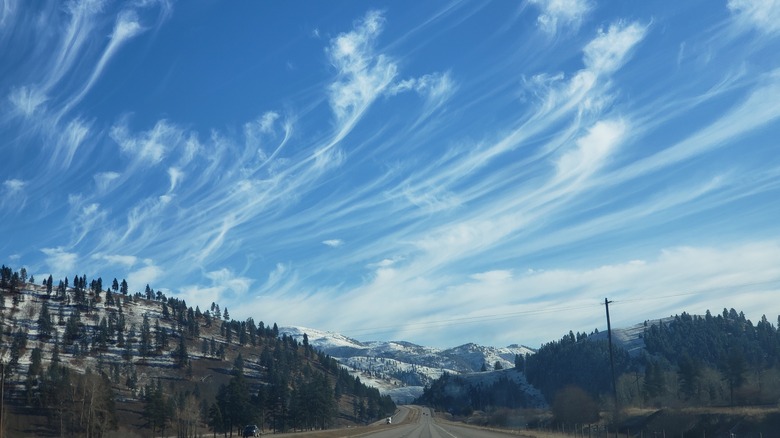 Mares' tail clouds