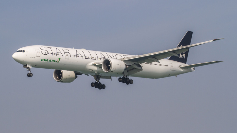 Eva Air/Star Alliance Logo