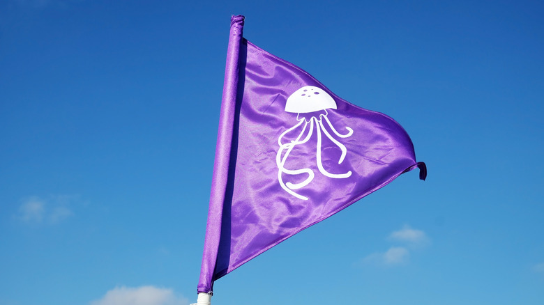 purple flag warning for jellyfish