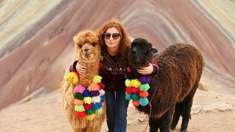 woman posing with alpacas