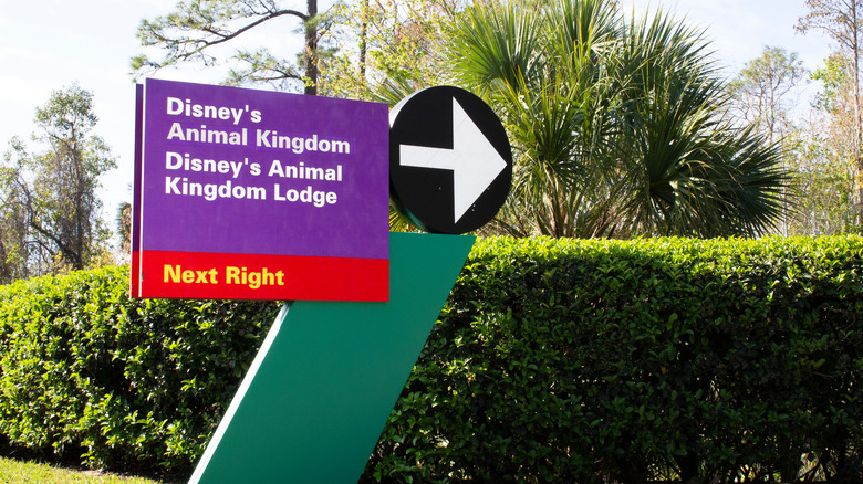 Disney's Animal Kingdom road sign