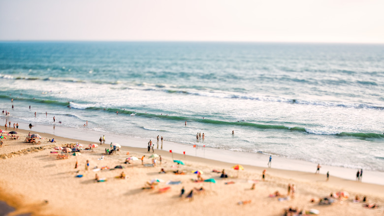 peak season at the beach