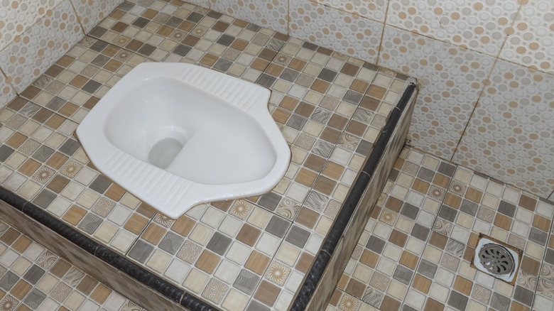 A squat toilet 