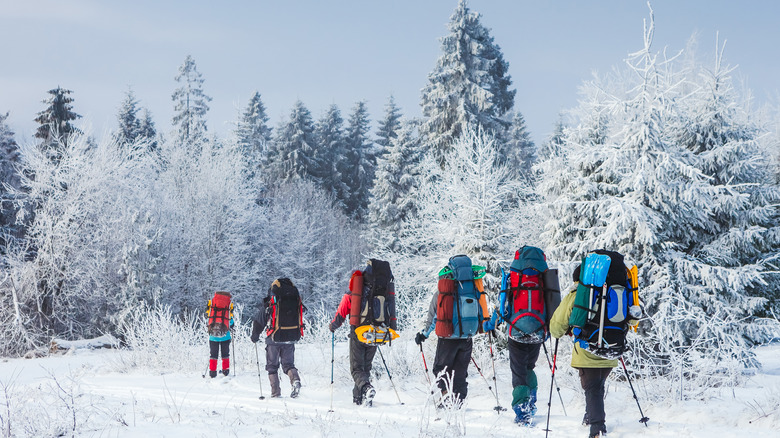 Group of winter hikers