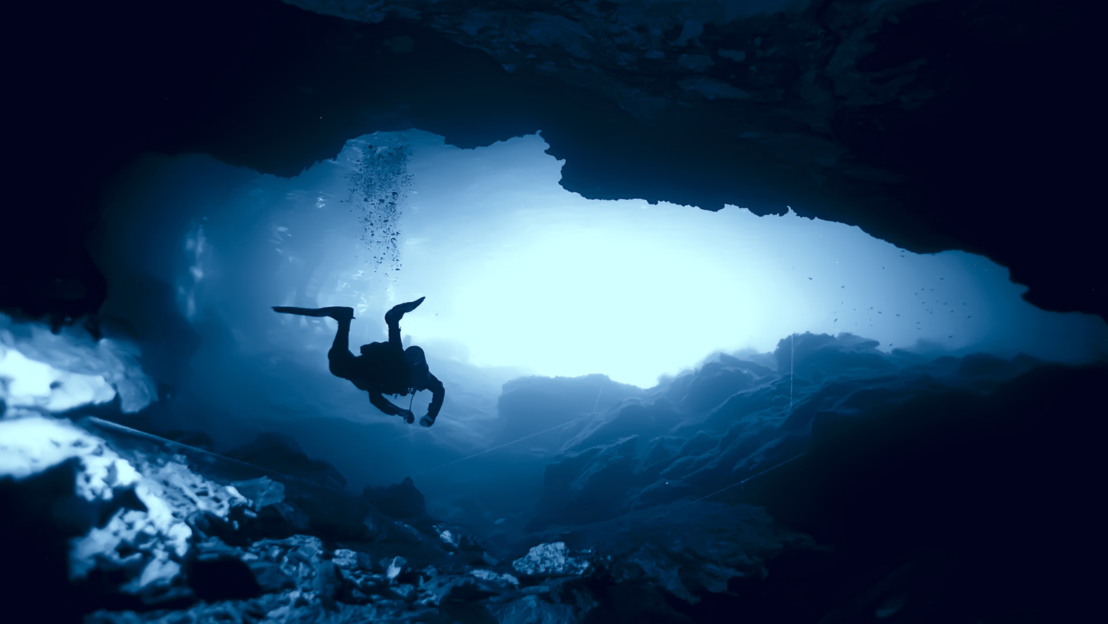 Staying Connected – A Beginner's Guide to Lines in Cave Diving