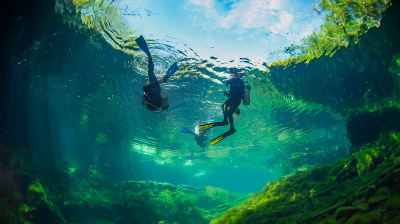 Divers in a cenote