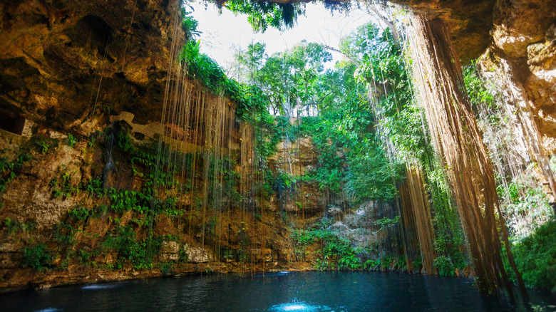 Cenote swimming hole idyllic