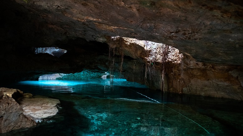 Cenote underground river