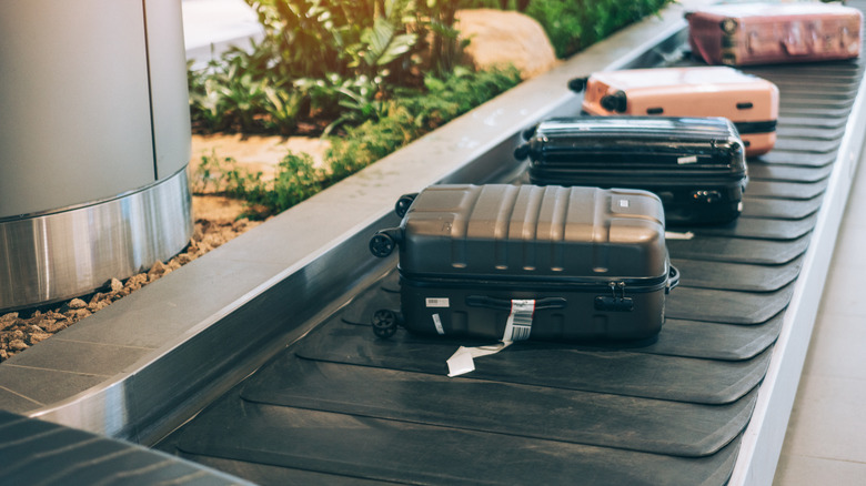 checked bags on airport carousel